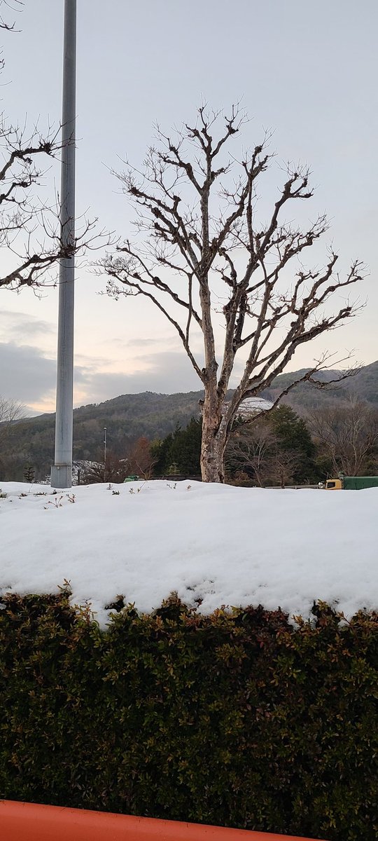 hani_sayu's tweet photo. 寒い❄ https://t.co/fsz9ko5Y2a