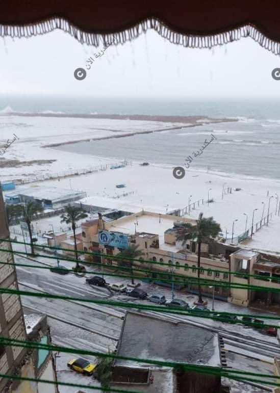 seamasdebarra's tweet image. First, they dreamt of an Ice Cold in Alex
Then, it was Ice Cold in Alex

Loving the photos coming out of Alexandria today
#إسكندرية #مصر