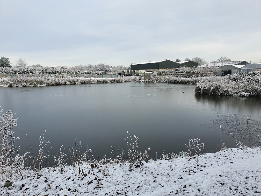 Grasslands Nursery tweet media