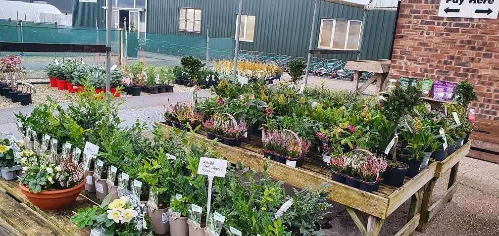 Grasslands Nursery tweet media