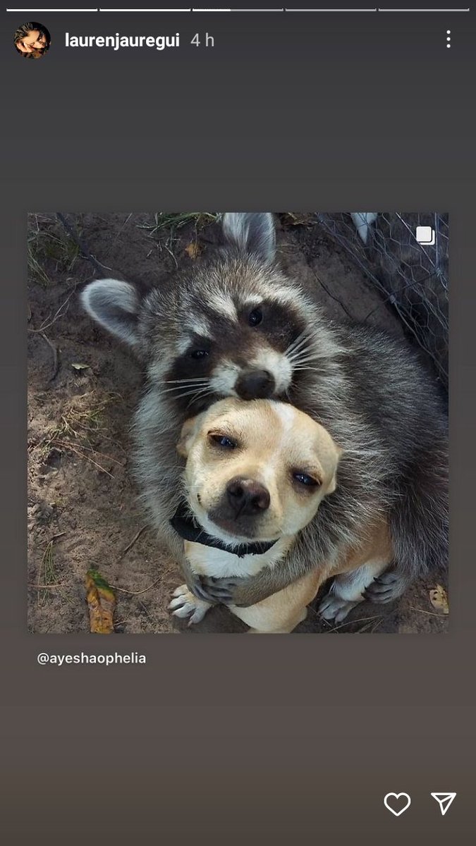 aIyciacorp's tweet photo. lauren compartió una foto clexa🥰 https://t.co/dvDbA0JCsQ