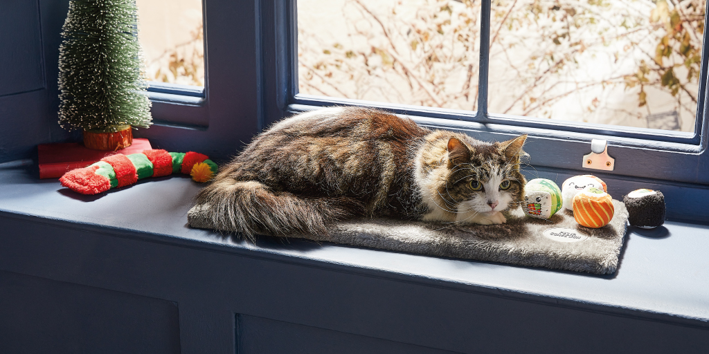 YummyHound's tweet photo. Photogenic and able to pose or play on cue, cat models Spud, Annie and Angel show @AldiUK Christmas cat gifts with a sense of realism.
Want professional cat models for your next project? Then call 020 8161 6556 or email info@urbanpaws.co.uk
#CatModels #AnimalTalent #UrbanPawsUK https://t.co/ittMnat1ZQ