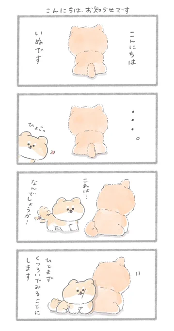 🐶大お知らせ🐶

この度、漫画「こんにちは、いぬです」の
『柴犬さんふわふわぬいぐるみ化』
クラウドファンディングに挑戦します!

続報を待つべし…
#こんにちはいぬです 