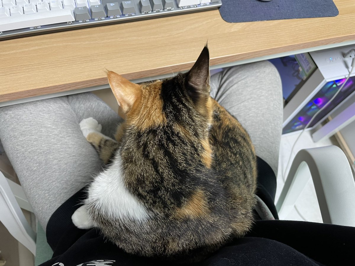 우쒸, 나 앉을 자리 만들라고