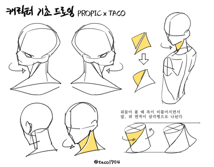 뒤돌아 볼 때 목이 비틀어지면서 앞, 뒤 면적이 삼각형으로 나뉜다 