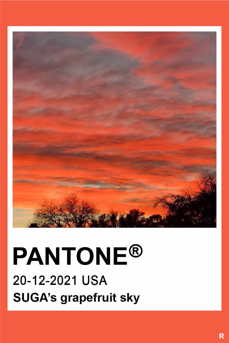 𝙼𝚎𝚌𝚑𝚞𝚛𝚢_𝚁 tweet media