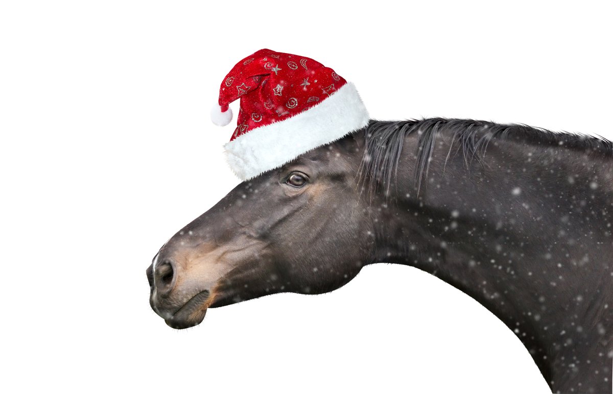 Our <a href="/RossdalesHerts/">Rossdales Herts</a> Christmas and New Year opening hours are available here bit.ly/3EfdCi1.

When the office is closed, our out of hours emergency service will operate by calling our normal practice number and this is available 24/7.