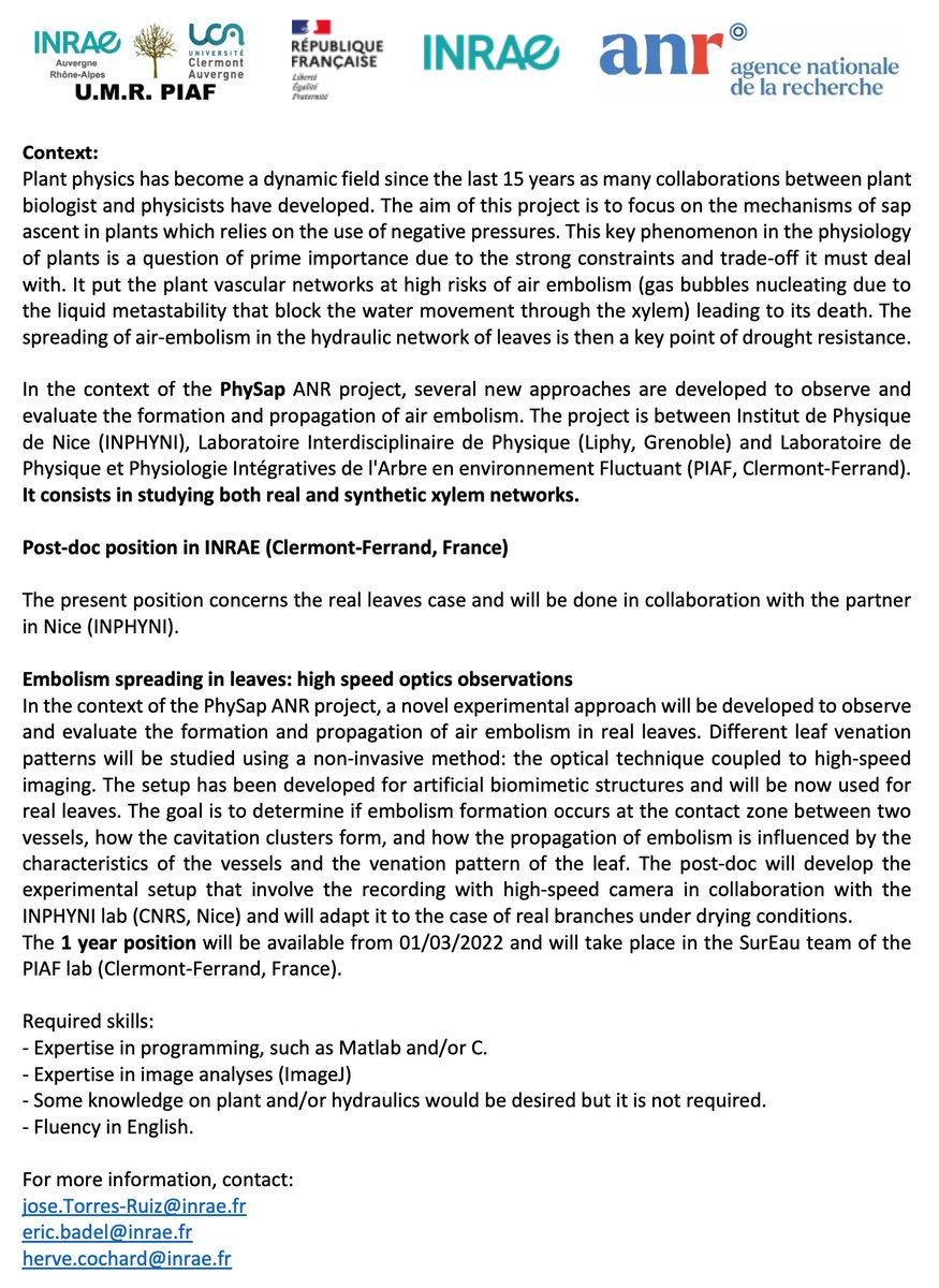 Plant Hydraulics Lab (@planthydraulics) on Twitter photo We are recruiting!
A one-year postdoc position is open in our laboratory on leaf hydraulics using a new high-speed camera. See details attached.
@hcochard <a href="/eric_badel/">Badel</a> <a href="/torresruizjm/">José M. Torres-Ruiz</a> <a href="/AgenceRecherche/">ANR - Agence nationale de la recherche</a> We are recruiting!
A one-year postdoc position is open in our laboratory on leaf hydraulics using a new high-speed camera. See details attached.
@hcochard <a href="/eric_badel/">Badel</a> <a href="/torresruizjm/">José M. Torres-Ruiz</a> <a href="/AgenceRecherche/">ANR - Agence nationale de la recherche</a>