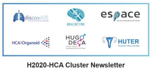 H2020-HCA Cluster Newsletter

6 European Consortia unify efforts with the Human Cell Atlas to communicate their research.
Link:  bit.ly/3EcK8Be

@EU_H2020_HCA <a href="/OrganoidAtlas/">Organoid Cell Atlas</a> <a href="/discovAIR_HCA/">discovAIR</a> <a href="/Hugodecaproject/">HUGODECA</a>  <a href="/HorizonEU/">Horizon Europe 🇪🇺</a> <a href="/EuropeScience/">Europe Science</a> <a href="/HiDiHlabs/">HiDiH</a> <a href="/incliva_iis/">INCLIVA</a> <a href="/igenomix/">IGENOMIX</a>