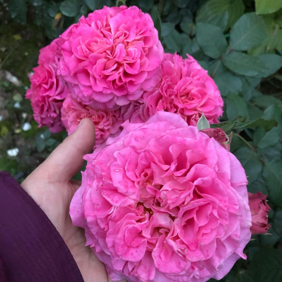 🕊

إذا أخبركـ قلبكـ يومًا ، أن شيئًا ما '
ليس على' ما يرام فلآ تتجاهله .!" 

#حقيقة_لا_يمكن_انكارها 

🌿🌷🍃