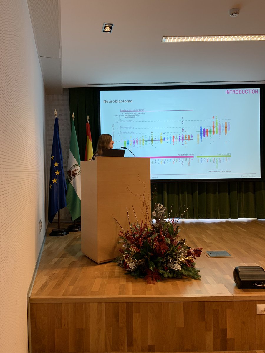 AlmuPino's tweet photo. Judit Liaño is sharing her findings on alternative treatment strategies for refractory neuroblastoma #ImibicMIP @IP2med @IMIBIC https://t.co/rZLcsgvwvD