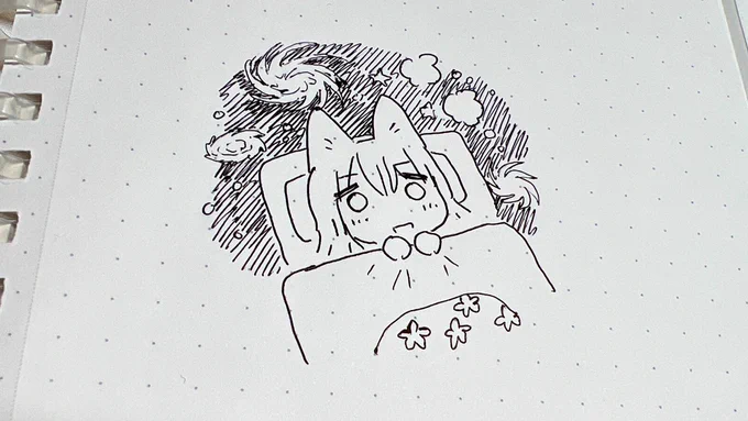宇宙猫みたいになった 