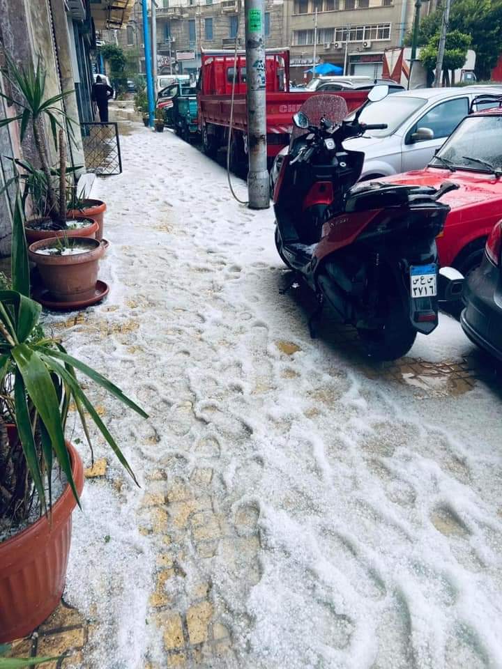 جابت تلج ف اسكندرية واجواء اوروبية♥️⛄️❄️
صباح الخير جدا..