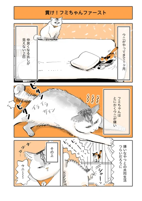 猫漫画
『貫け!先住猫ファースト』
(1/2) 