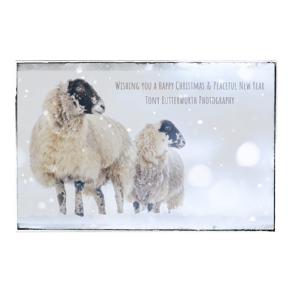 Wishing you a Happy Christmas and a peaceful New Year from Tony Butterworth Photography!

Sincere thanks for all your support, encouragement and kind words over the year! TB x

#Christmas #NewYear #ThankYou #photography @JonMitchellITV <a href="/PeepsofthePeaks/">PeepsofthePeaks</a> <a href="/jayceb19/">Jane Brook</a> <a href="/The_Dalesman/">The Yorkshire Dalesman magazine</a>