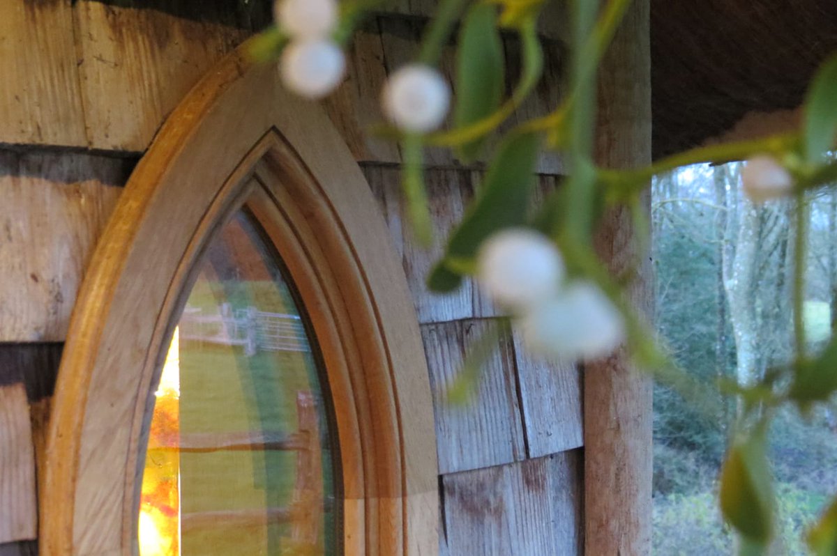 Treeopia -Luxury Treehouse Escape tweet media