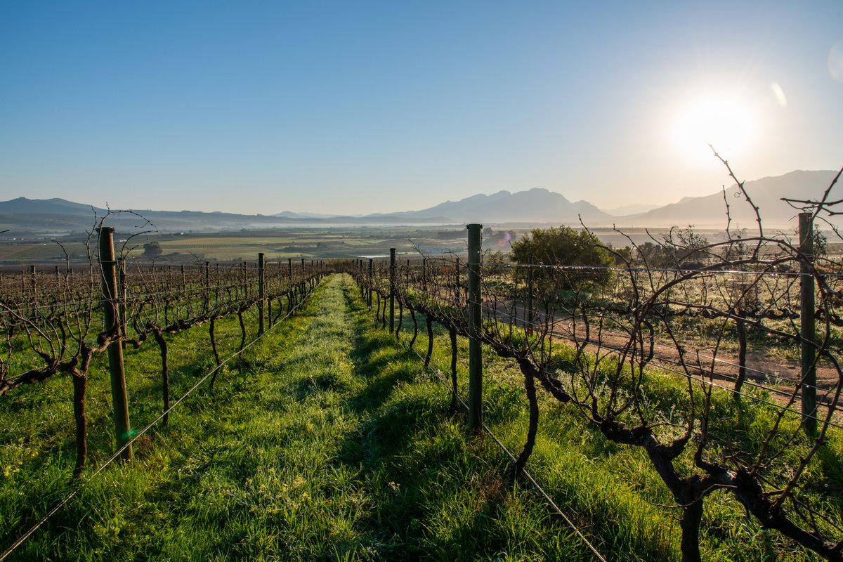 #MondayMotivation At Compagniesdrift we believe that “The most effective way to do is to do it” Amelia Earhart

As the sun slowly sets on 2021, we would like to encourage you to do the things you have in mind &amp; achieve great things in the new year! 

compagniesdrift.com