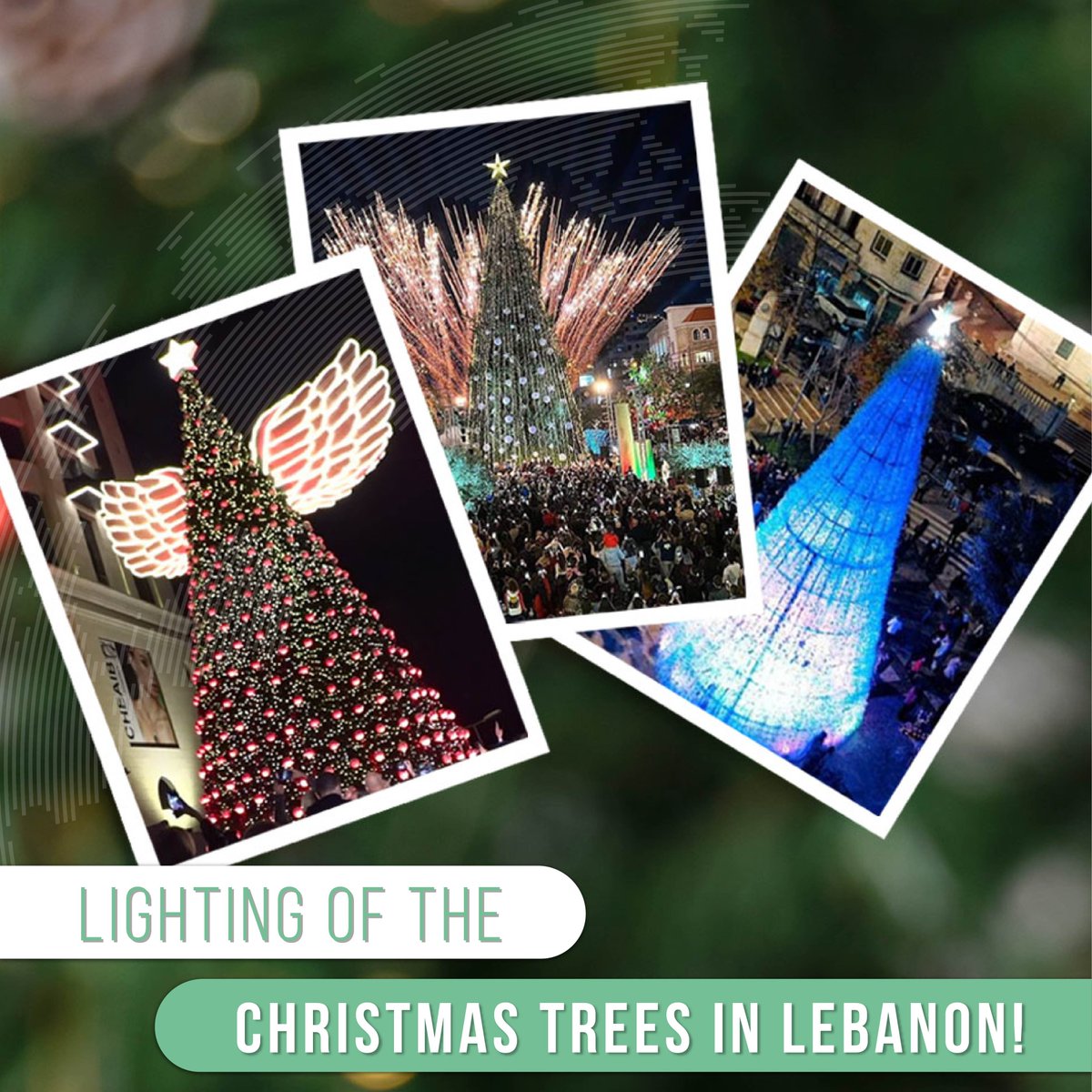 LDEsocial's tweet photo. Some of this year’s inspiring tree lighting ceremonies!

Photography by:
Elie Korkomaz, @flyoverlebanon (Jbeil, Miziara)
Michel Razzouk (Achrafieh)

#LDESocial #Lebanon #LebaneseDiaspora https://t.co/ot8CXupf5Q