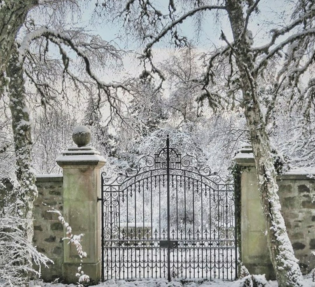 — winter wonderland