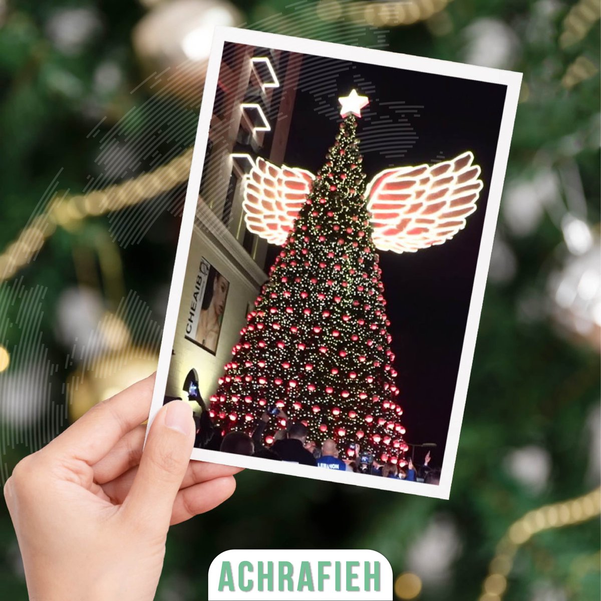LDEsocial's tweet photo. Some of this year’s inspiring tree lighting ceremonies!

Photography by:
Elie Korkomaz, @flyoverlebanon (Jbeil, Miziara)
Michel Razzouk (Achrafieh)

#LDESocial #Lebanon #LebaneseDiaspora https://t.co/ot8CXupf5Q