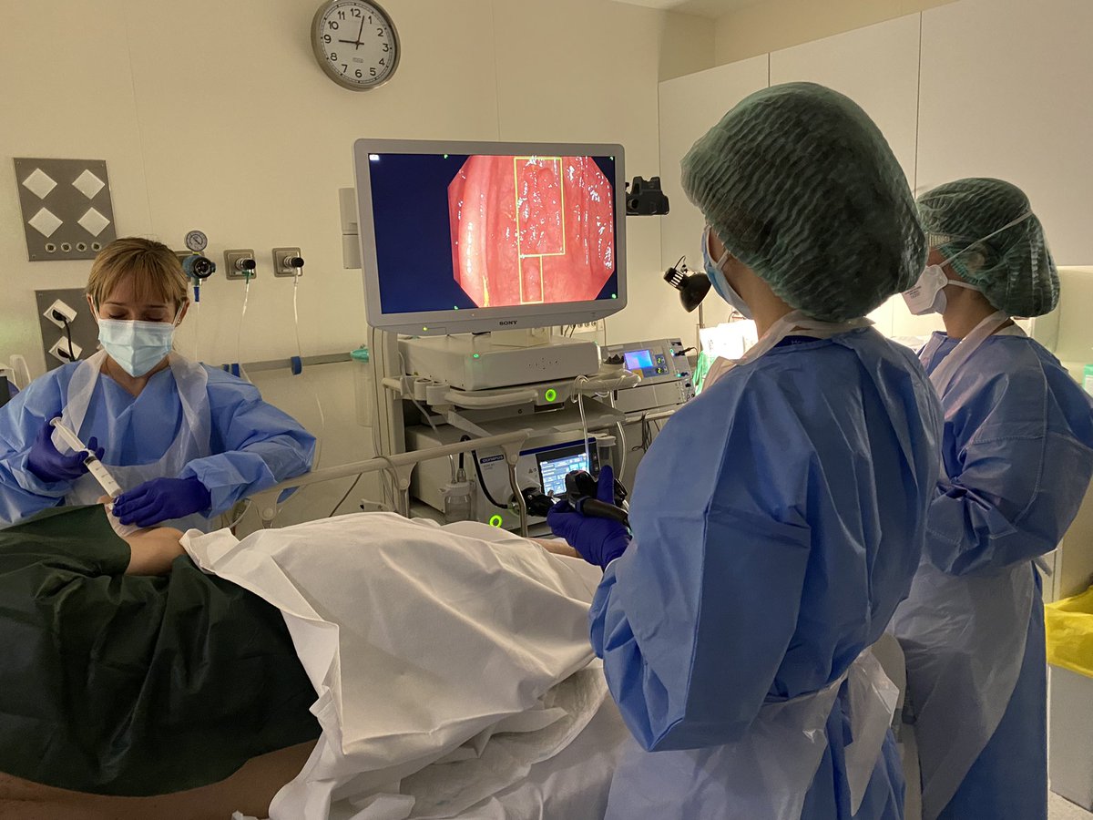DigestiuHV's tweet photo. Ya tenemos #GIGenius en @DigestiuHV, un software de IA para mejorar la detección de pólipos en tiempo real @MedtronicES #AI #CADe #CRC https://t.co/fduc6zA9C3