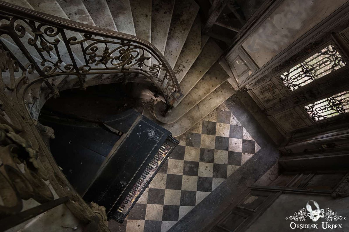 GM Twitter fam 🖤

How was everyone’s weekend? Mine was stuck inside as I felt super unwell 😓