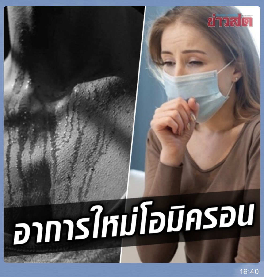 ฟอร์จูนที่มีหมา5ตัว tweet media