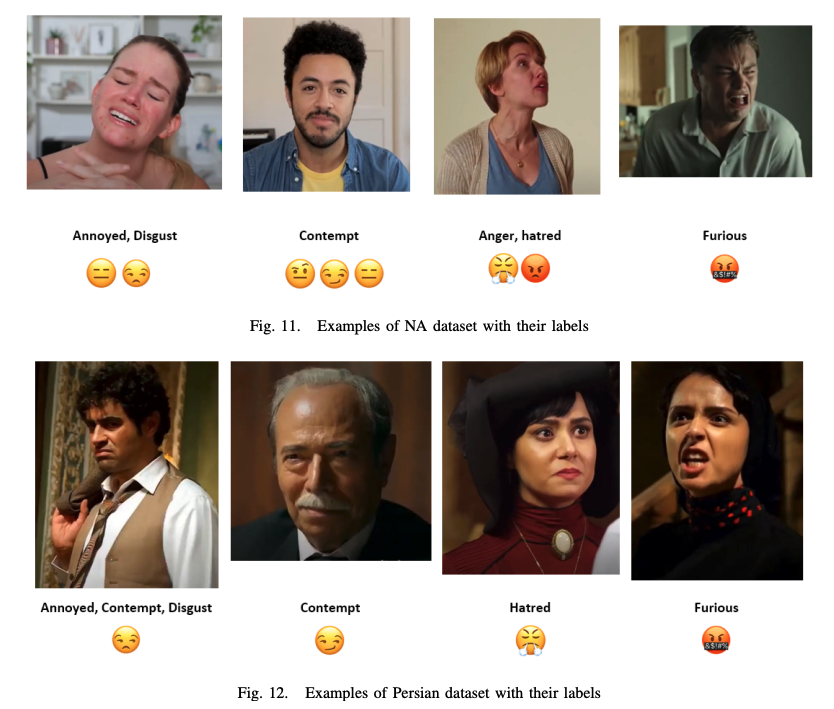 paperswithdata's tweet photo. 😡 MFA (Many Faces of Anger): a new dataset that includes 200 in-the-wild videos from North American and Persian cultures with fine-grained labels of: 'annoyed', 'anger', 'disgust', 'hatred' and 'furious' and 13 related emojis.

https://t.co/rb6M3K7J3s https://t.co/EH2j2870JZ