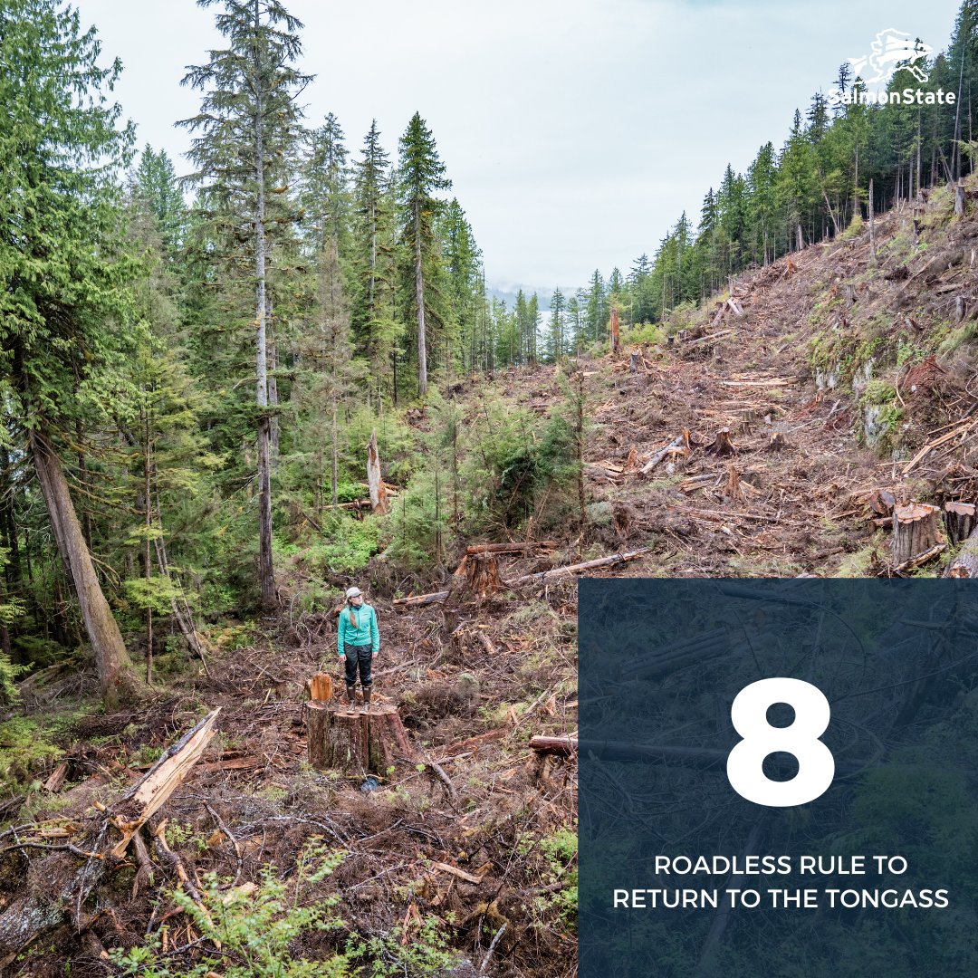 SalmonStateAK's tweet photo. 8️⃣:The U.S. Forest Service announced its plans to reinstate Roadless protections in the Tongass National Forest. #SalmonState #TopTen https://t.co/H0NeIIvaQM