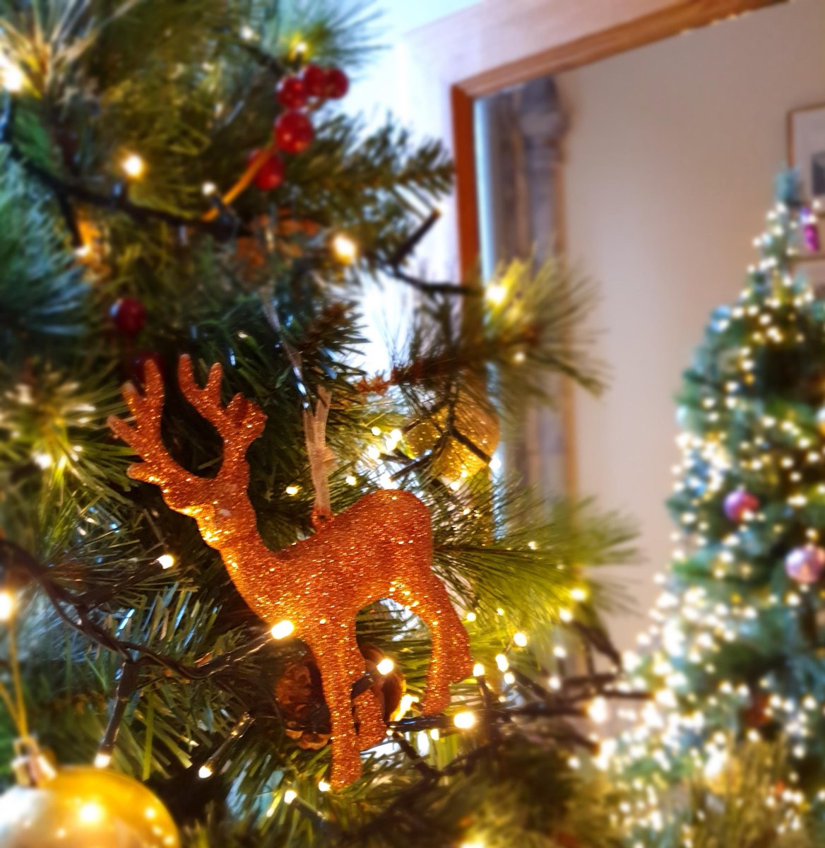 HighlandClubThe's tweet photo. May the Holiday Season begin!!! 🎅☃️🎄
The Highland Club is looking very festive and our staff is ready to welcome you!!! https://t.co/Lu3B7OSyzy