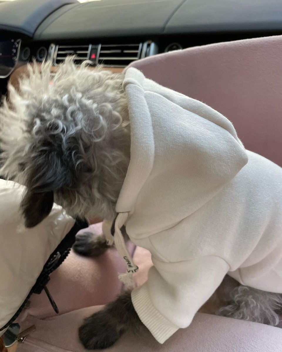 KYRSYJ's tweet image. [INSTAGRAM] 211220 dooeyuri: 오늘은 편한 출퇴근룩 🐾🤓 

#dooe