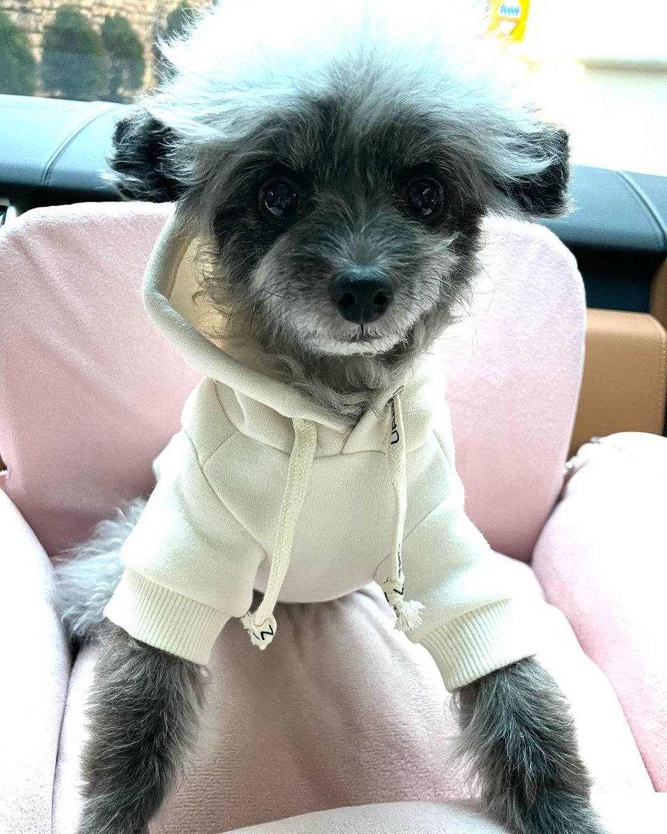 KYRSYJ's tweet image. [INSTAGRAM] 211220 dooeyuri: 오늘은 편한 출퇴근룩 🐾🤓 

#dooe