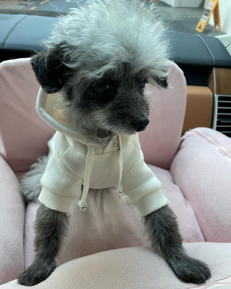 KYRSYJ's tweet image. [INSTAGRAM] 211220 dooeyuri: 오늘은 편한 출퇴근룩 🐾🤓 

#dooe