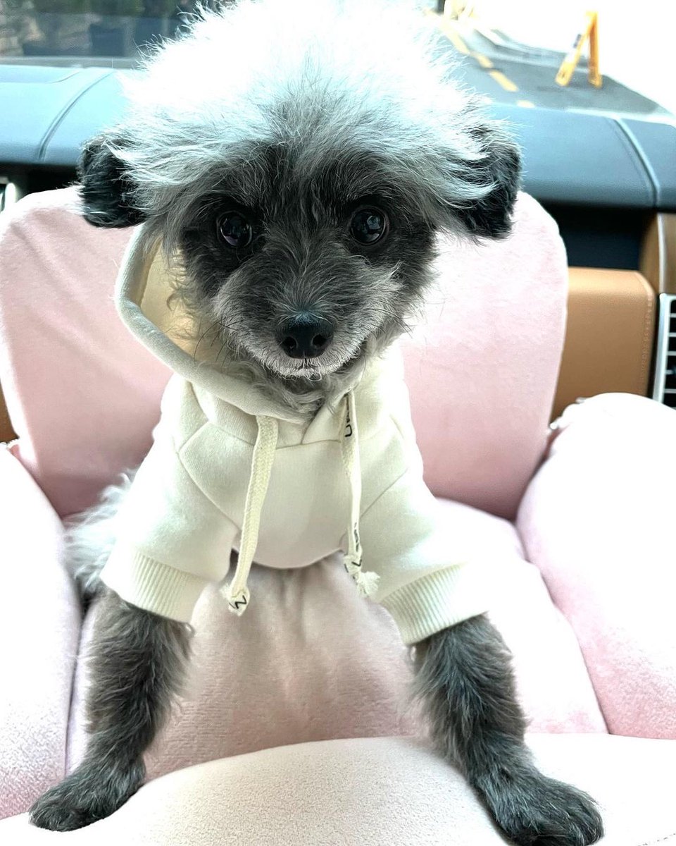 KYRSYJ's tweet image. [INSTAGRAM] 211220 dooeyuri: 오늘은 편한 출퇴근룩 🐾🤓 

#dooe