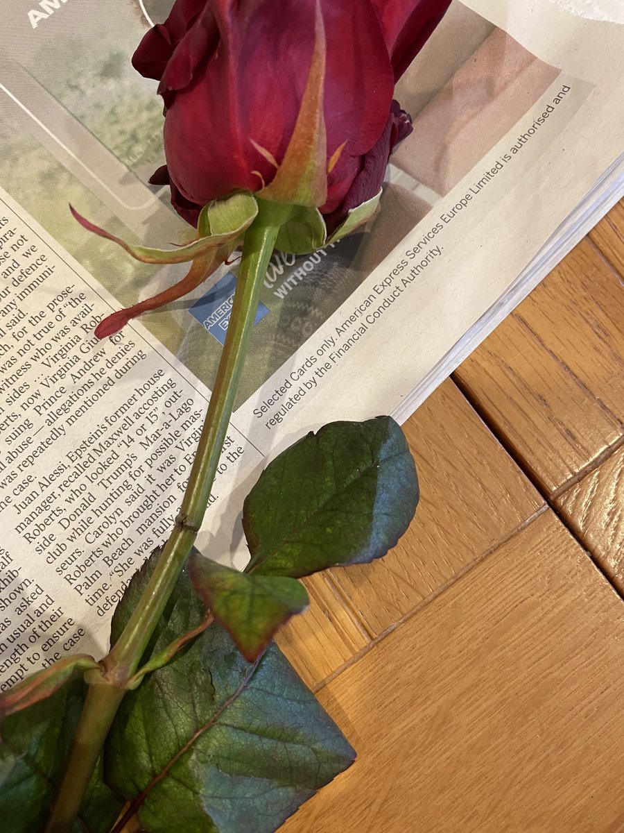 PRLindsay's tweet photo. You’ve worked hard to get me back now in the first box one of the anchor roses is damaged. I am so dissapointed as I was relying on this box to be my stand out Christmas flowers https://t.co/lbhJKUWknh