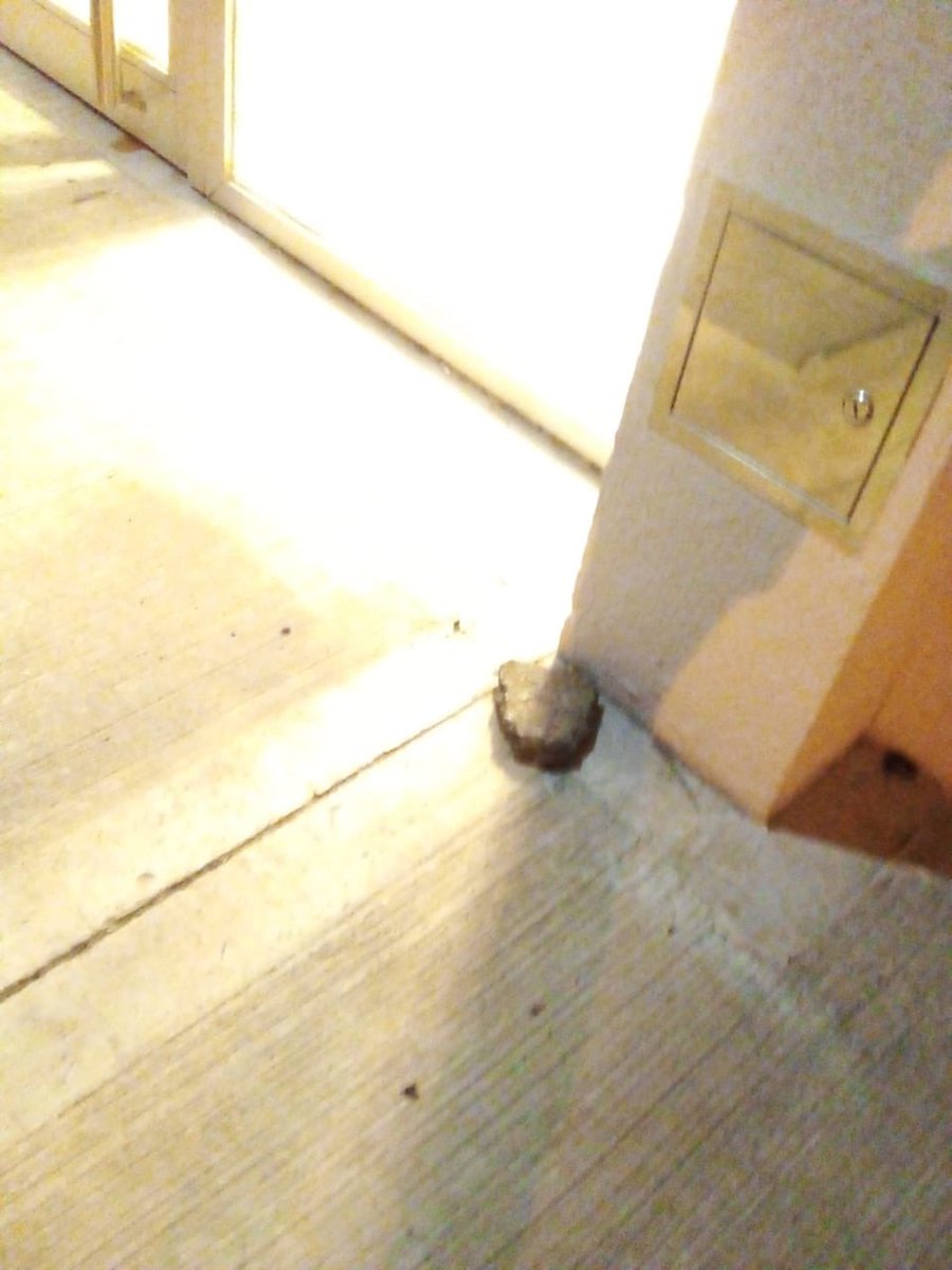 Buen día. Así están dejando nuestros vidrios la gente que vive en Williams y Rincón. El COT pasa y nunca ve nada. <a href="/ZamoraJulio/">Julio Zamora</a> <a href="/MunicipioTigre/">Municipio de Tigre</a> <a href="/alertatigre/">AlertaTigre</a> <a href="/PFAOficial/">Policía Federal Argentina</a> <a href="/telefenoticias/">Telefe Noticias</a> <a href="/eltreceoficial/">eltrece</a> <a href="/ZNVISION/">Zona Norte Visión</a>