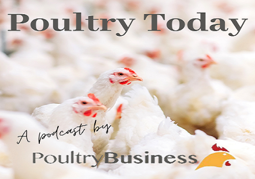 poultrybusiness's tweet photo. Amidst a national labour shortage, find out why young people are joining @AvaraFoods in the latest episode of the #podcast Poultry Today, listen now here:
https://t.co/k8CQydKojr
#poultry #manufacture #farming #agriculture #labour https://t.co/fP5BRlRPz8