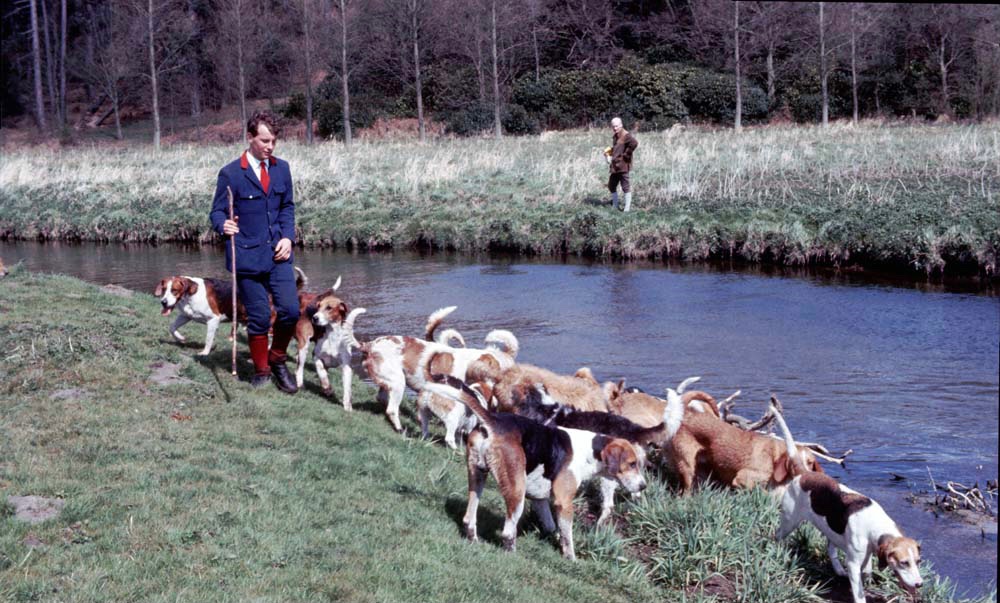 ECMH_Official's tweet photo. Sharing a few grainy photos from the ECOH Opening Meet 1977. Though the meet was on https://t.co/n0s6MAkDrF’s Day, 2 inches of snow covered the ground only days before. The water must have been a tad nippy!

https://t.co/TWYRKuEdOJ

#KeepHunting #Minkhounds #Minkhunting #Hunting https://t.co/5seKmWsTJ2