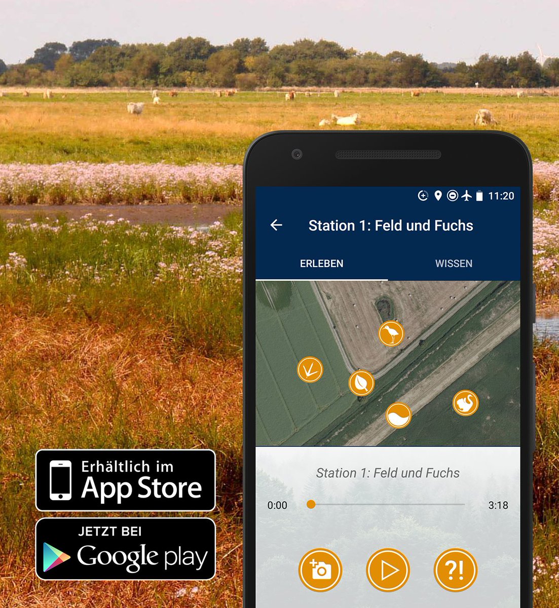 succow_stiftung's tweet photo. Für naturbegeistere Wander*innen: mit unserer #App könnt ihr #Küsten, #Moore, #Wiesen, #Wälder in #MV entdecken, so z. B. auch den Küstenwald „Lanken“ am Südufer des #Greifswald|er Boddens. Die App "Echt: Natur" ist kostenlos im #AppStore oder über #GooglePlay erhältlich. https://t.co/3V80O7yRbk