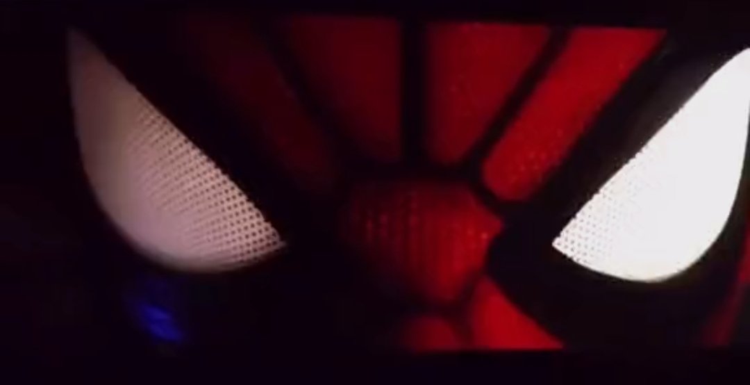 Baptos 🇵🇹🌻🦊 tweet media