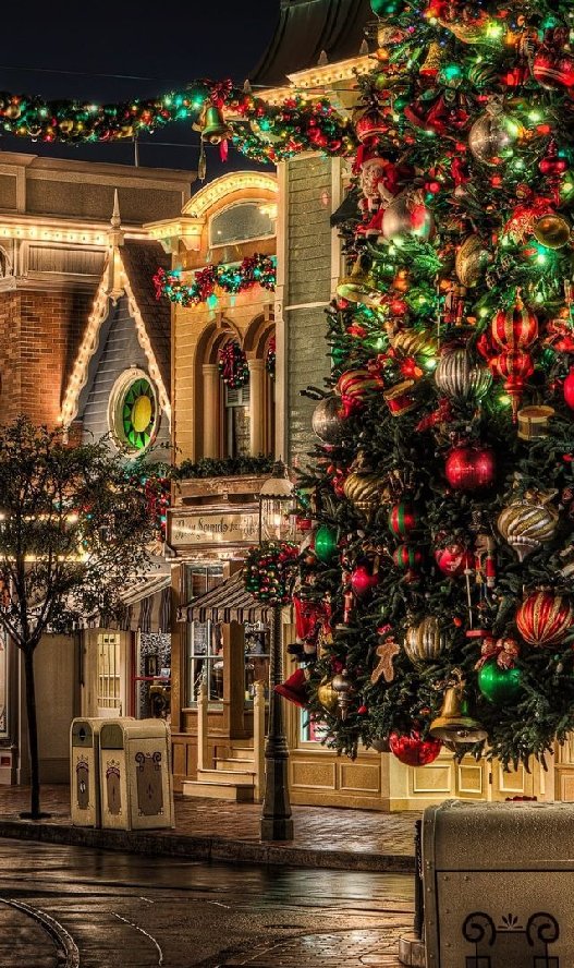 HannahE7291's tweet photo. 🎄
@try2b2
@vixin757 
@NYCLee5 
@MayraFlores2022 
@MAGAShawna 
@Obumasucks 
@RedWavesCA 
@jAlmz5 
@Luv4RWB
@USAVet_5
@ChuckIttatme
@lovewolves53 
@KittenKlawz 
@LuzMyBike 
@BTTTCO
@Patriot17DJT 
@RodTeresaEvans
@satansradio666
@Jan6thFalseFlag
@deplorableTru20 
@snoopsmom123 https://t.co/y58qz66G30