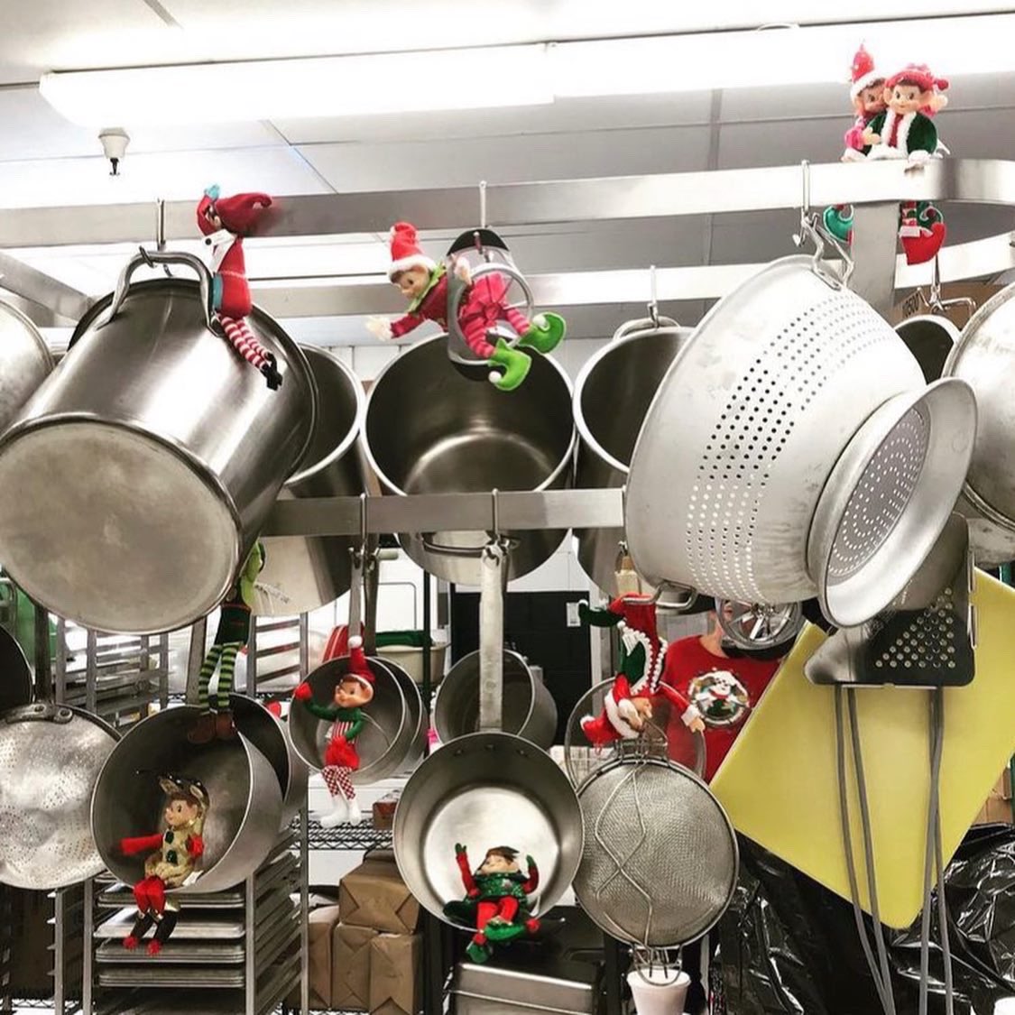 BCSFoodNFit tweet media