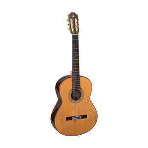 Polaczek666's tweet photo. Just got new bass. #guitar #guitars #jestemmuzykiem https://t.co/7kUN5HhCX1