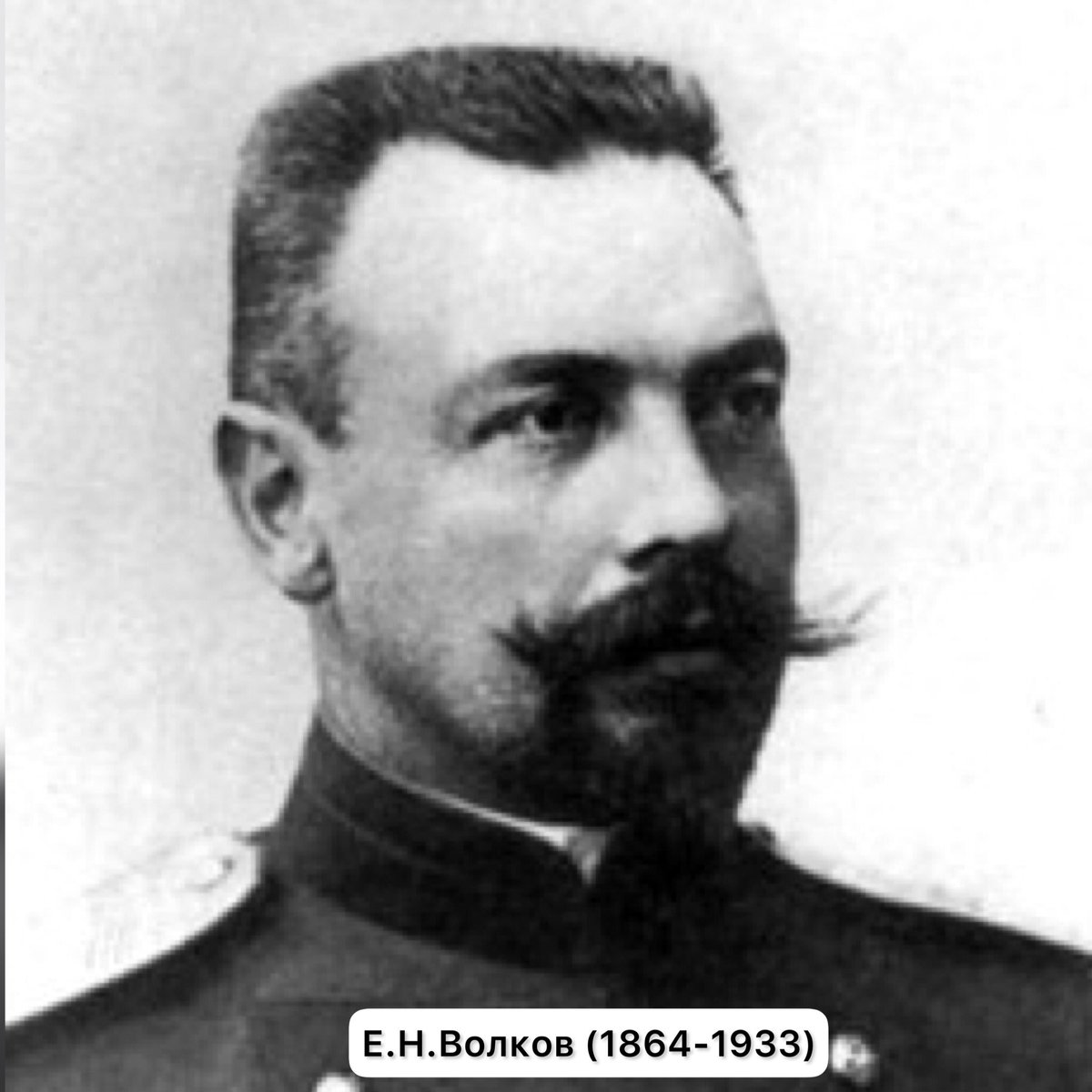 евгений волков фото