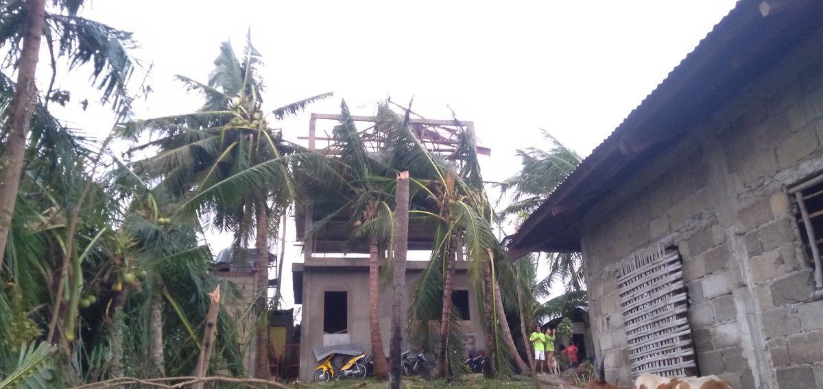 lorjerist's tweet photo. This is the situation of my home😢
We don't have a house to ,no electricity,no water supply,luck of food supply
Guys I really need your help 
My family and my neighbors really need  a financial amount to build theirs houses and to buy a food
Any amount will do guys https://t.co/bB7zFUvtmM