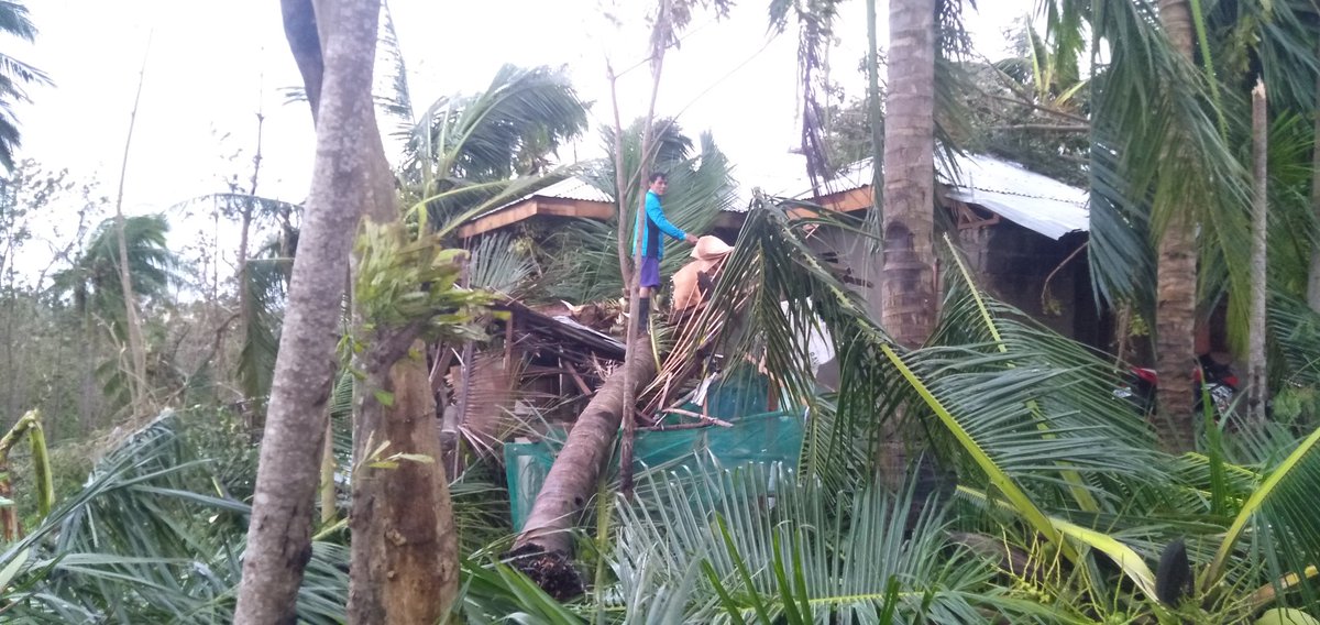 lorjerist's tweet photo. This is the situation of my home😢
We don't have a house to ,no electricity,no water supply,luck of food supply
Guys I really need your help 
My family and my neighbors really need  a financial amount to build theirs houses and to buy a food
Any amount will do guys https://t.co/bB7zFUvtmM