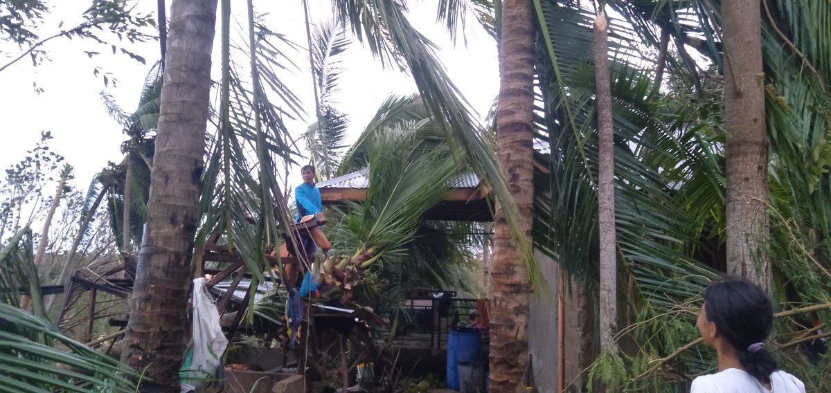 lorjerist's tweet photo. This is the situation of my home😢
We don't have a house to ,no electricity,no water supply,luck of food supply
Guys I really need your help 
My family and my neighbors really need  a financial amount to build theirs houses and to buy a food
Any amount will do guys https://t.co/bB7zFUvtmM