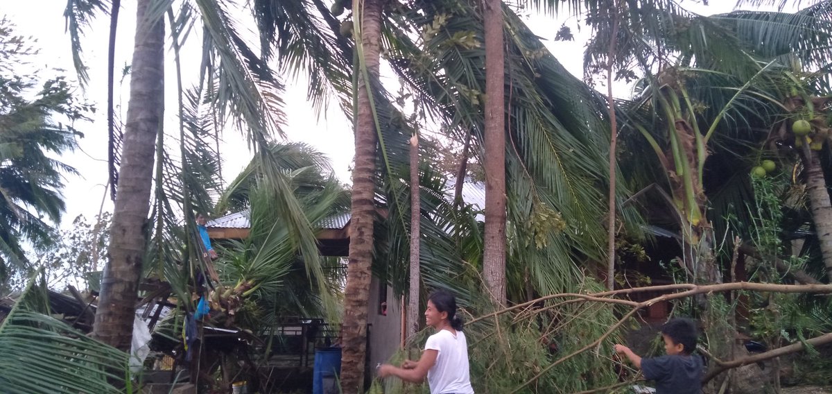 lorjerist's tweet photo. This is the situation of my home😢
We don't have a house to ,no electricity,no water supply,luck of food supply
Guys I really need your help 
My family and my neighbors really need  a financial amount to build theirs houses and to buy a food
Any amount will do guys https://t.co/bB7zFUvtmM