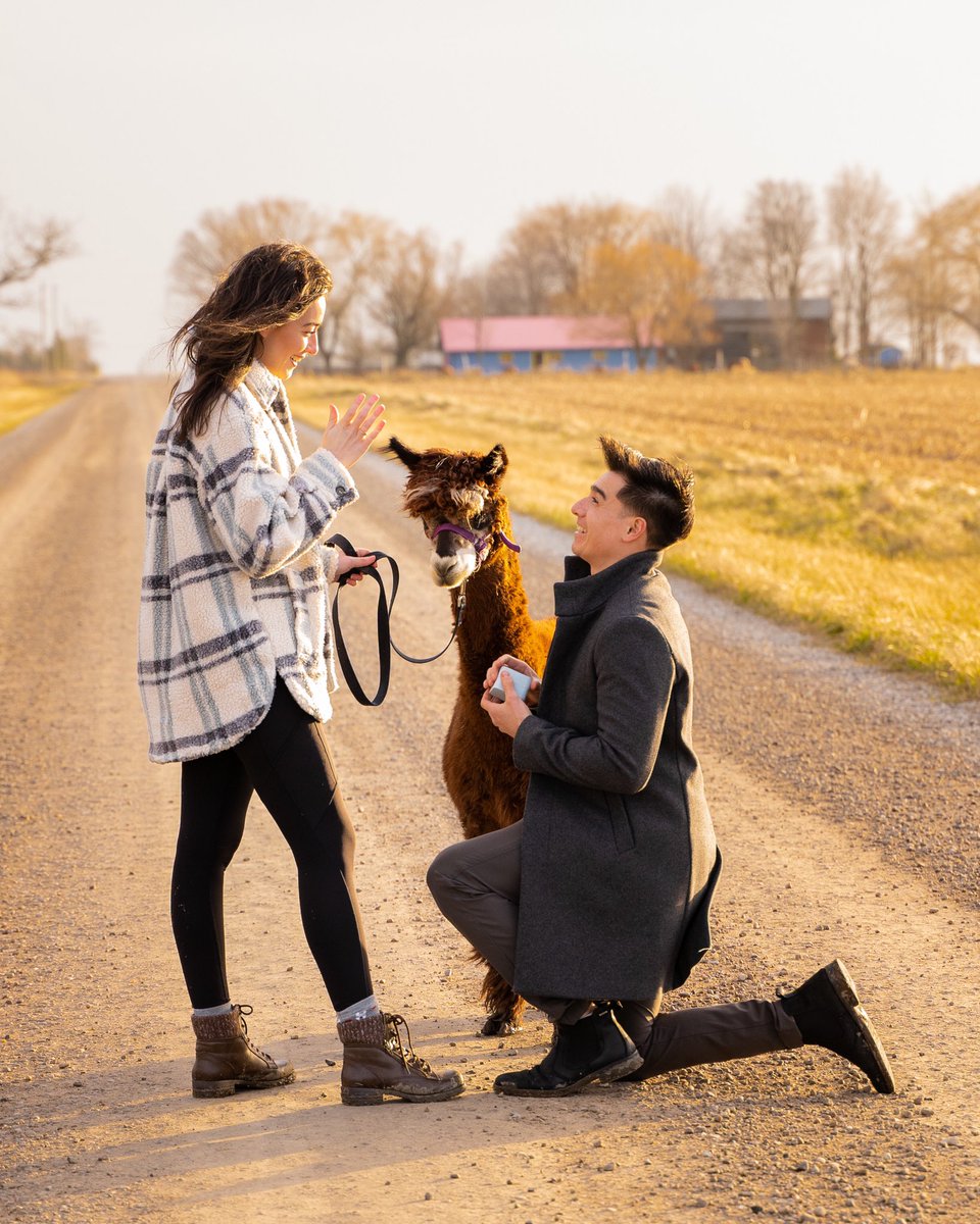 Kristen Lucibello, PhD tweet media