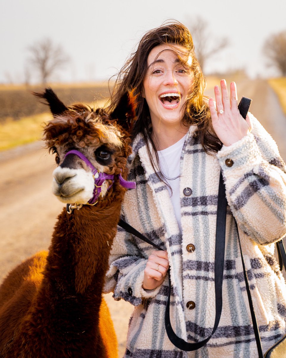 Out of all the grants I was a part of this year, I am confident THIS was the best proposal of 2021! 💍

(Lucibello &amp; Larkin, accepted)